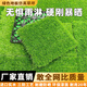 探境陽臺(tái)地板自鋪家用改造戶外露臺(tái)地面鋪設(shè)室內(nèi)外庭院拼接防水防腐木 【特價(jià)仿真草坪】搭配地板使用