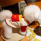 阿莫爾狗狗衣服秋冬款可牽引雪納瑞貓咪冬季比熊泰迪博美寵物小型犬冬天 紅白薯條可牽引衣 XS