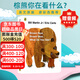 Brown Bear 英文原版繪本 棕熊 棕色的熊 紙板書 廖彩杏書單 幼兒童早教啟蒙讀本 卡爾爺爺
