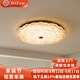 帝贊美式臥室吸頂燈中古風(fēng)客廳主燈復(fù)古風(fēng)照明臥室燈房間燈中山燈具 【中號(hào)】直徑40cm-無極調(diào)光