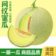 柚蘿海南網(wǎng)紋蜜瓜斤新鮮水果冰淇淋哈密瓜玫瓏海陽(yáng)蜜瓜甜瓜日本引種 2枚嘗鮮裝