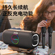 ROBERILLINE2025新款無線藍(lán)牙音箱低音炮戶外防水家用KTV大音量120W便攜音響 黑色-雙麥-唱歌版