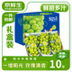 京鮮生國產(chǎn)陽光玫瑰青提凈重4.5斤禮盒裝單果10g+葡萄/提子水果源頭直發(fā)