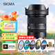 適馬（SIGMA）18-50mm F2.8 DC DN恒定大光圈標(biāo)準(zhǔn)變焦鏡頭 索尼E卡口半畫(huà)幅微單 風(fēng)光人像視頻直播 濾鏡禮包套裝