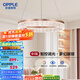 歐普（OPPLE）客廳吊燈月光女神/奶油風(fēng)夢幻吊燈95高顯色客廳餐廳臥室 月光女神-臥室燈61瓦