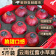 紅露蘋(píng)果 云南櫻桃小蘋(píng)果當季新鮮丑萍果冰糖心平果甜脆昭通蘋(píng)果 【寶寶果】2斤|50-60mm左右 新鮮現摘