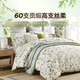 Harbor House全棉貢緞四件套美式純棉環(huán)保活性印花家紡床單被套床品套件Arbor Arbor-300T全棉貢緞 1.5米床 床單款 （被套200*230cm）