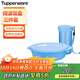特百惠（Tupperware）休閑微波飯盒3件套午餐分格套裝便攜密封鈷藍色1L+勺子+水杯