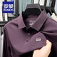 羅蒙長(cháng)袖T恤男士秋季新款高端商務(wù)休閑中年翻領(lǐng)polo打底衫 烏梅紫 3XL