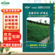 斡爾園林草坪種子混播草籽護坡王四季常青庭院綠化草種子