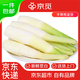 京覓 江蘇無(wú)錫高筍茭白 凈重5斤 單顆2兩+ 新鮮蔬菜 源頭直發(fā)包郵