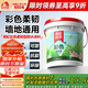 雨虹防水 彩色柔韌型防水涂料 廚房衛(wèi)生間防水涂料 墻地面通用18kg