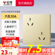 公牛（BULL）開關(guān) 86型墻面家用插座 帶USB網(wǎng)線 空調(diào)電視墻壁面板G39香檳金 【六孔10A】