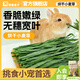 怪獸盒子烘干小麥草粗纖維磨牙兔子龍貓牧草荷蘭豬飼料兔子草料凈重500g 精品烘干小麥草【500g】箱裝