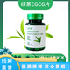 圣嘉德圣嘉德綠茶EGCG片 綠茶提取物茶多酚粉98%EGCG兒茶素速溶食品級