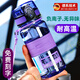 AILUKI德國(guó)運(yùn)動(dòng)水杯2025新款大號(hào)直飲杯大容量耐高溫壺學(xué)生塑料防摔杯子 紫色350ML-【進(jìn)口tritan材質(zhì)+含茶隔】_