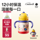 babycare兒童保溫杯嬰兒寶寶吸管水杯霸王龍不銹鋼保溫杯300ml-新舊款混發(fā)