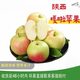 嘎啦蘋(píng)果新鮮水果當(dāng)季整箱9斤陜西紅富士脆甜冰糖丑青小平果包郵 凈重4.5斤（60-65mm）