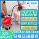 同城上門馬桶疏通維修通下水道廚房管道地漏堵塞蹲便廁所疏通除臭服務(wù) 蹲便疏通-下單后分配師傅報(bào)價(jià)（訂單支持退款）