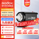 神牛（Godox） DP600IIW 二代人像攝影閃光燈影樓攝影室閃光燈 600W影棚柔光拍照燈 DP600IIW二代 閃光燈版