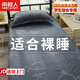 南極人學(xué)生宿舍床單單件夏季單人1.2米上下鋪雙人床簡(jiǎn)約上用品套件三 小鯨魚【親膚柔軟】 【單床單】1.2x2.1m-適用宿舍床