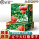 南步東北大紅袍李子【順豐到家】李玫瑰干核脫骨櫻桃李黑布林水果禮盒 3斤 精選果王【單果170-200g】