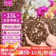 漫生活蘭花營養(yǎng)土15L蘭科基質(zhì)土花土花肥肥料進口花土蝴蝶蘭春蘭蕙蘭