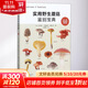 【正版包郵】實(shí)用野生蘑菇鑒別寶典 大作晃一 吹春俊光 吹春公子 著(zhù) 中國輕工業(yè)出版社 新華書(shū)店旗艦店科普讀物圖書(shū)書(shū)籍
