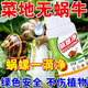 蝸螺凈蝸牛專(zhuān)殺螺劑菜地果園花卉盆栽蝸牛藥鼻涕蟲(chóng)蛞蝓福壽螺蛞蝓 【5瓶】蝸螺病害一掃光