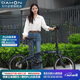 大行（DAHON）P10折疊自行車20英寸10速鋁合金成人通勤V剎 PAA003 珠光深藍(lán)