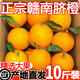 順豐正宗江西贛南臍橙甜橙10斤香橙果凍橙新鮮當季水果冰糖橙子梨 5斤小果【新鮮現摘現發(fā)】 普通快遞