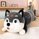 京白童子2025新款火焰哈士奇二哈抱枕毛絨玩具可愛(ài)玩偶陪睡狗狗生日禮物女 灰色-給你love一世溫柔： 約150厘米【填充優(yōu)質(zhì)pp棉 柔軟舒適】