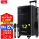山水（SANSUI）TE12戶(hù)外演出大功率低音炮移動(dòng)戶(hù)外K歌藍牙拉桿音箱話(huà)筒便攜式廣場(chǎng)舞家庭音箱 山水TE12專(zhuān)業(yè)戶(hù)外音箱+雙話(huà)筒