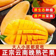 云南晚熟芒果新鮮芒果產(chǎn)地現摘水果生鮮生鮮館芒果 精選5斤裝（單果250克起）