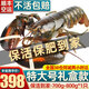 首鮮道【活鮮】波士頓龍蝦鮮活波龍 大龍蝦海鮮鮮活禮盒大蝦年貨禮盒 700-800g/只大龍蝦*1只