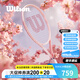 威爾勝（Wilson）櫻花粉薰衣草碳素一體男女初學(xué)訓練進(jìn)階網(wǎng)球拍高顏值女生七夕禮物 【櫻花粉】粉球套餐