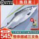 海澤鮮 挪威三文魚刺身新西蘭帝王鮭整條冰鮮法羅皇冠三文魚即食生魚片 10斤 -12斤【挪威三文魚整條】
