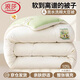 浪莎大豆纖維被子1.8x2米冬被加厚保暖棉被家用單雙人春秋被子被芯 米白拼綠【親膚柔軟】 180*220cm-約6斤【冬被】