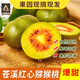 果益壽四川廣元蒼溪紅心獼猴桃奇異果新鮮大果特大果禮盒彌泥猴桃 蒼溪紅心獼猴桃 【小果凈重3.6斤】30枚50-65g