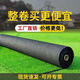 捷諾立（JNL）工程仿真人造草坪假草皮塑料草坪幼兒園人工圍擋戶外裝飾綠色墊子 郵寄樣品-量大專車