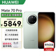 華為Mate 70 Pro 旗艦手機(jī) HUAWEI mate70pro 新機(jī)2025上市系列 紅楓原色影像鴻蒙AI智能華為手機(jī) 云杉綠 12GB+512GB 官方標(biāo)配