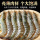 戀品惠厄瓜多爾大白蝦 超大基圍蝦 冷凍南美青蝦對蝦 鹽凍海蝦生鮮 蝦類(lèi) 中號 3.3斤(凈重)  14-16cm