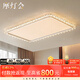 摩燈會(huì)客廳吸頂燈現(xiàn)代全光譜護(hù)眼2025新款水花大廳主燈LED中山燈具大全 【長(zhǎng)方110cm】三色變光