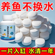 JCZS德國品牌魚(yú)缸凈水片澄清澈凈化水質(zhì)除臭去腥魚(yú)缸水族箱魚(yú)池清水養 魚(yú)缸不換水【1瓶/100片】一片清