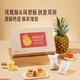 可頌坊山姆會(huì )員商店超市山姆金酥禮盒鳳梨酥?zhù)P凰酥混合裝獨立包裝點(diǎn)心 真材實(shí)料【一盒】禮盒裝 精選金鉆鳳梨，不添加冬瓜蓉