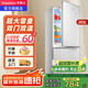 榮事達(dá)（Royalstar）【國(guó)家補(bǔ)貼20%】187升雙門冰箱家用小型大容量雙開(kāi)門 節(jié)能省電租房冷凍冷藏超薄微霜保鮮電冰箱 202L【一級(jí)能效】?jī)商煲欢入?銀色