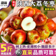 甜萌果蔬新鮮冬棗 陜西大荔脆甜冰糖冬棗新鮮棗子孕婦水果中秋送禮整箱 5斤精選裝【單果約15g+】?jì)糁?.5斤