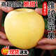 京覓 黃金維納斯甜蘋(píng)果 4斤單果150g+當季新鮮水果生鮮送禮源頭直發(fā)