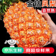 優(yōu)味集海南金鉆鳳梨新鮮水果禮盒可選金磚手撕菠蘿熱帶孕婦鮮果節日禮品 凈重7.5斤（精選4-6個(gè)果）
