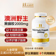 Healthy Haniel康倍信野生黑蜂膠蜂王漿240粒/瓶 高濃度2000mg 高含量17%黃銅